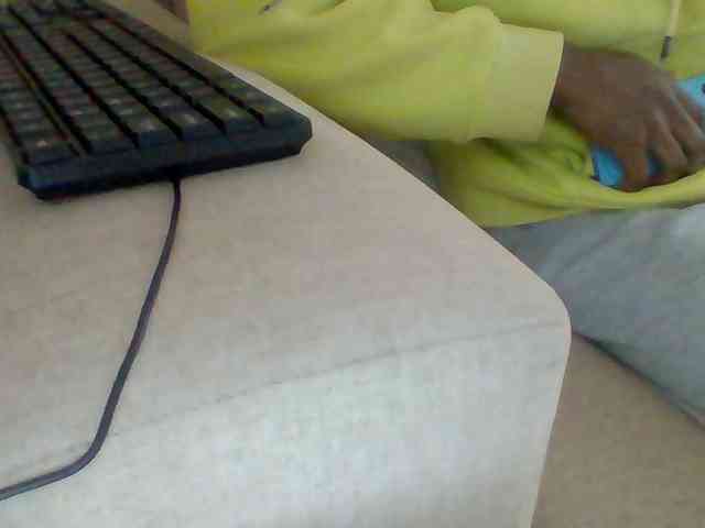 Dollie webcam