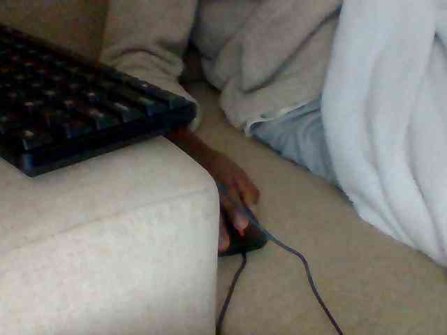 Dollie webcam