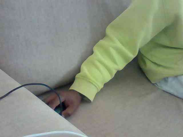 Dollie webcam