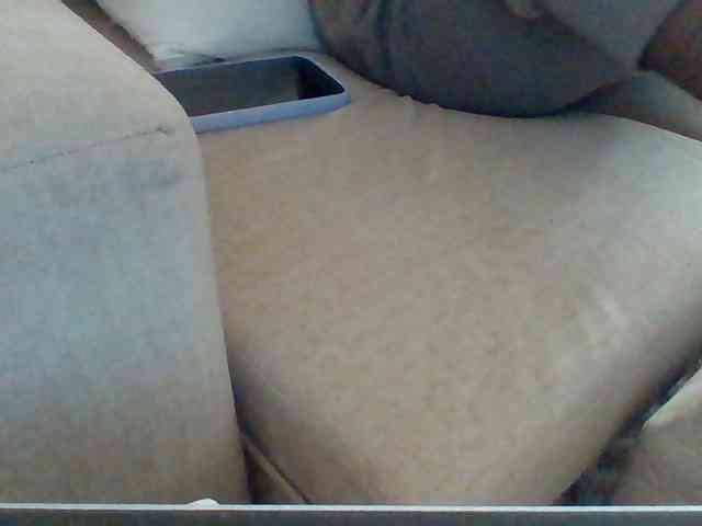 Dollie webcam