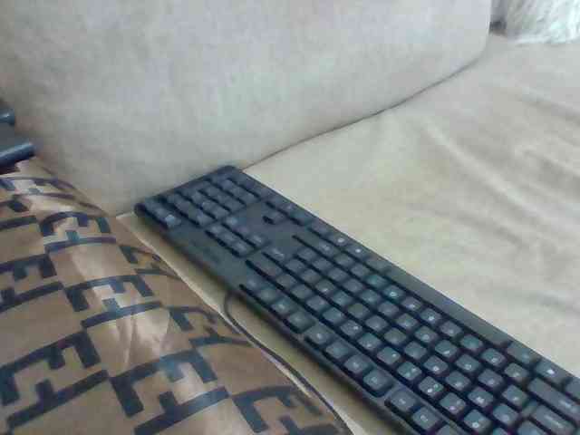 Dollie webcam