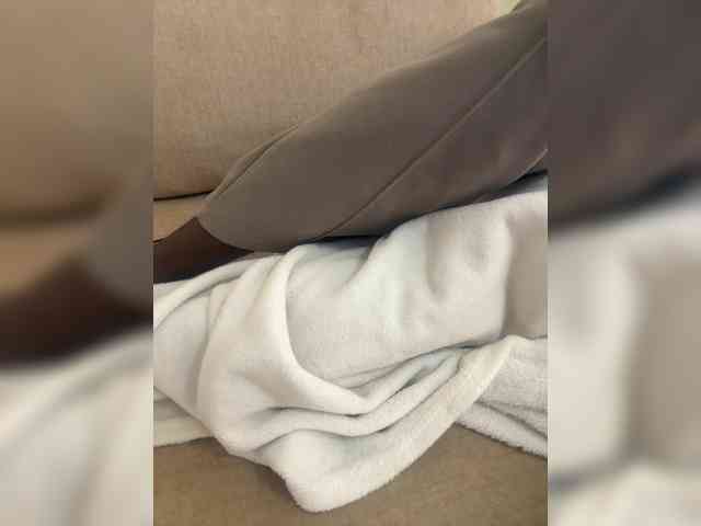 Dollie webcam