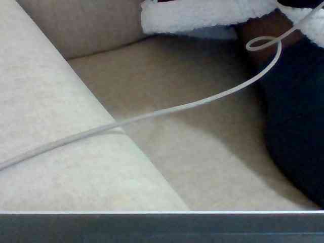Dollie webcam