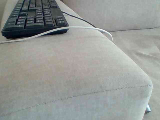 Dollie webcam