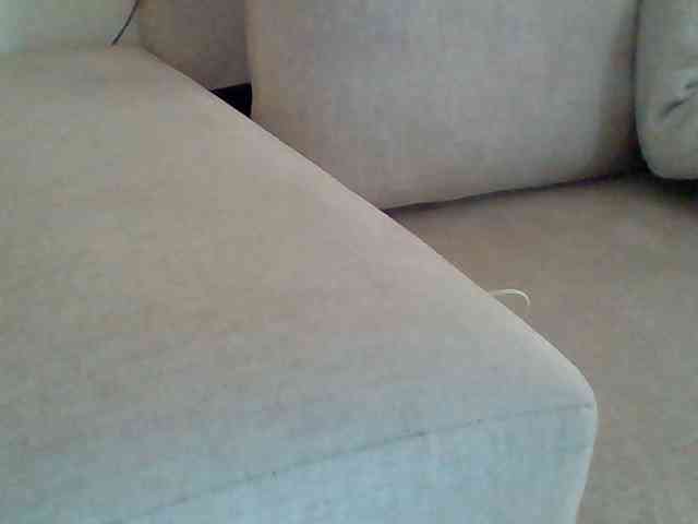 Dollie webcam