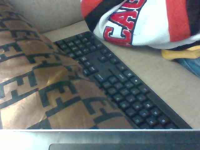 Dollie webcam
