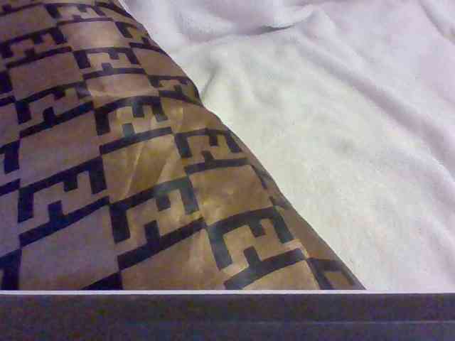 Dollie webcam