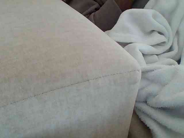 Dollie webcam
