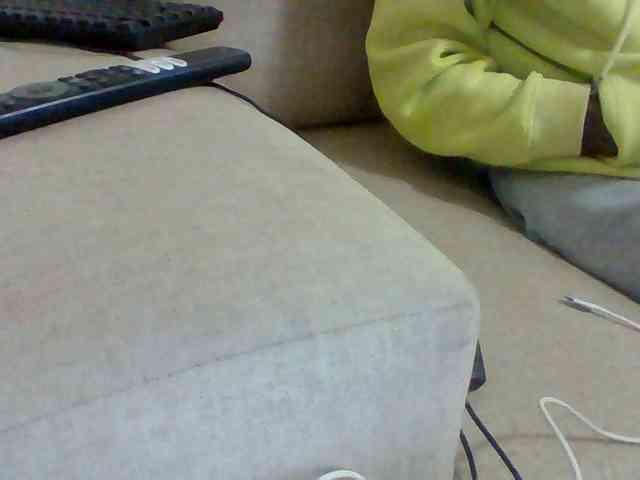 Dollie webcam