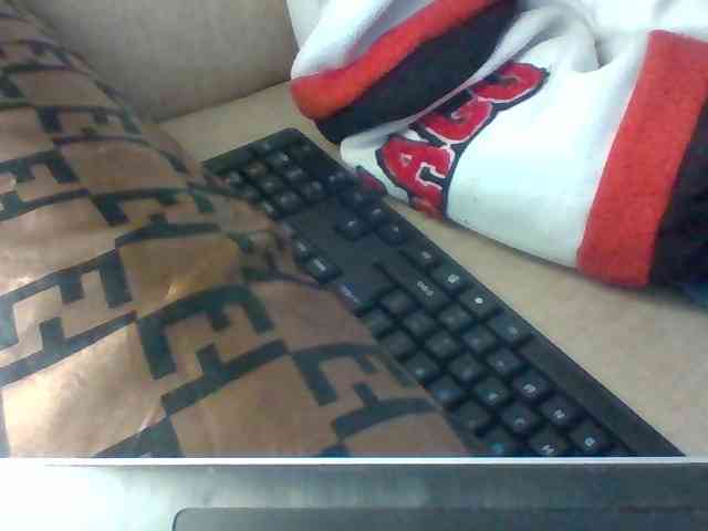 Dollie webcam