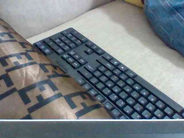 Dollie webcam