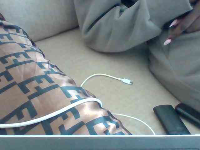 Dollie webcam