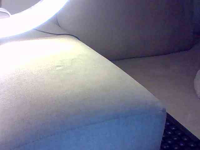 Dollie webcam