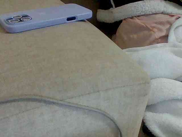 Dollie webcam