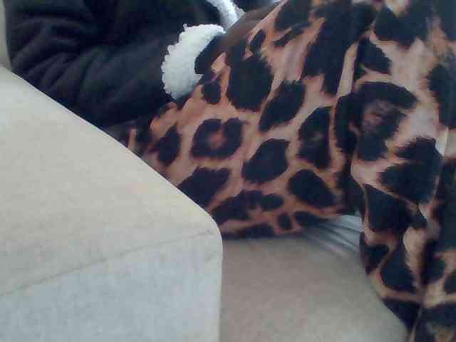 Dollie