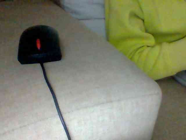 Dollie webcam
