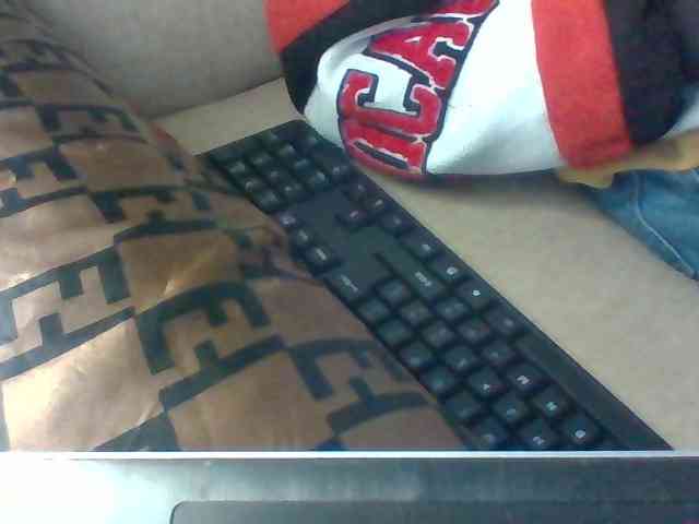 Dollie webcam