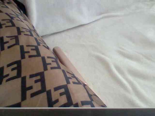 Dollie webcam