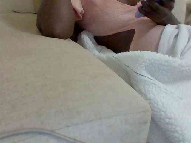 Dollie webcam