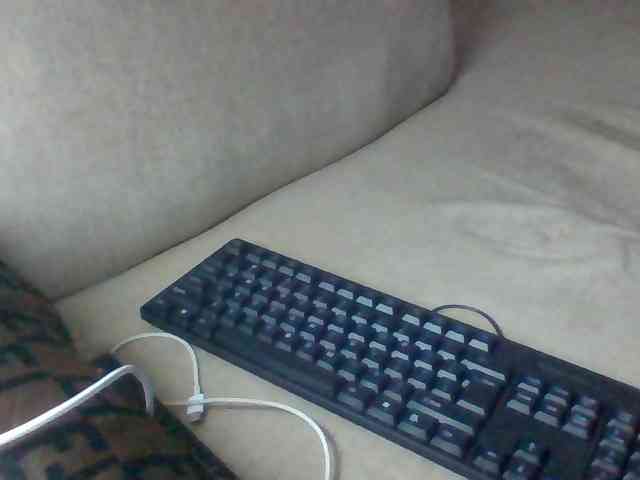 Dollie webcam