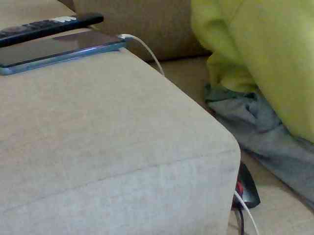 Dollie webcam