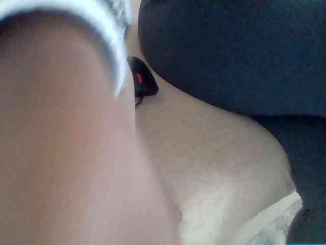 Dollie webcam