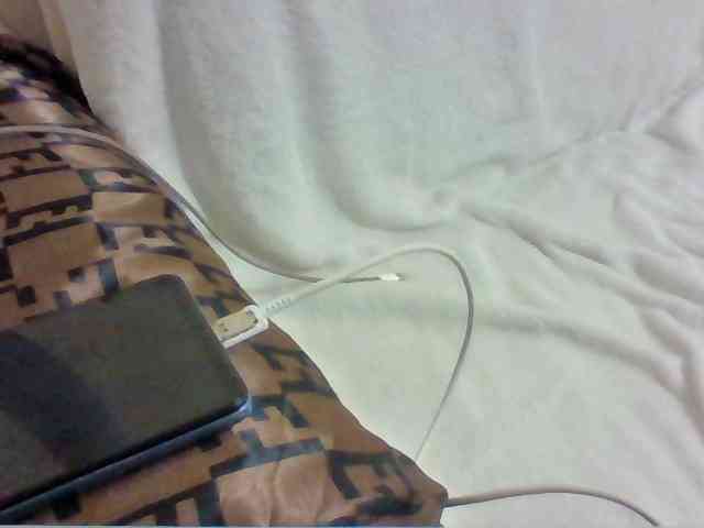 Dollie webcam