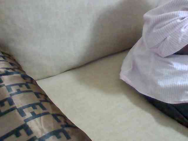 Dollie webcam