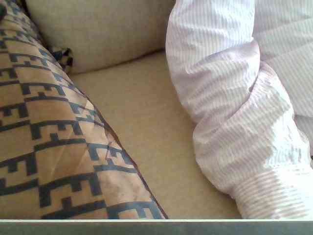 Dollie webcam