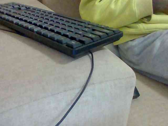 Dollie webcam