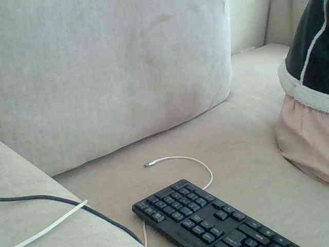 Dollie webcam