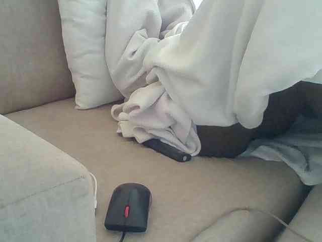 Dollie webcam