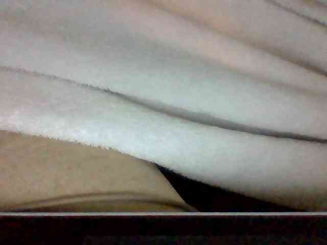 Dollie webcam