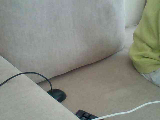 Dollie webcam