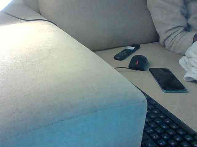 Dollie webcam