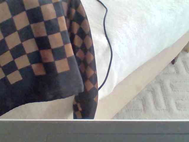 Dollie webcam