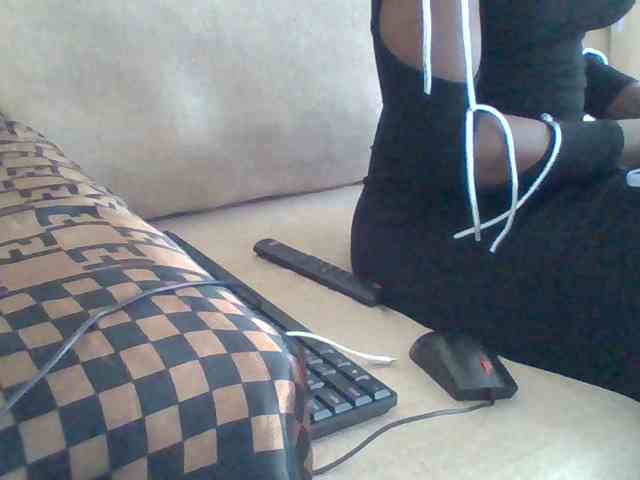 Dollie webcam