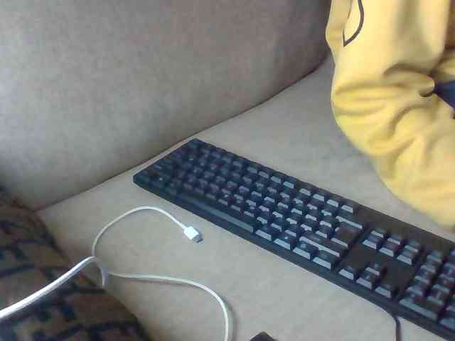 Dollie webcam