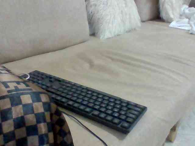 Dollie webcam