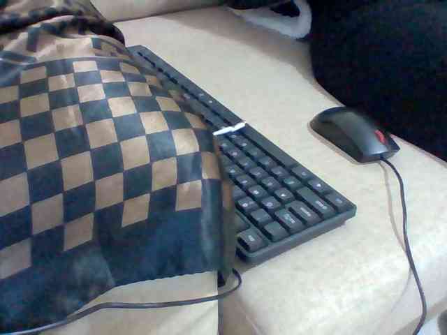 Dollie webcam