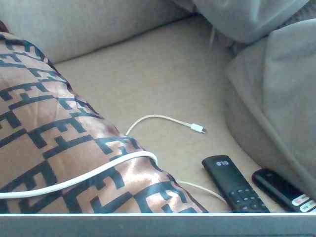 Dollie webcam