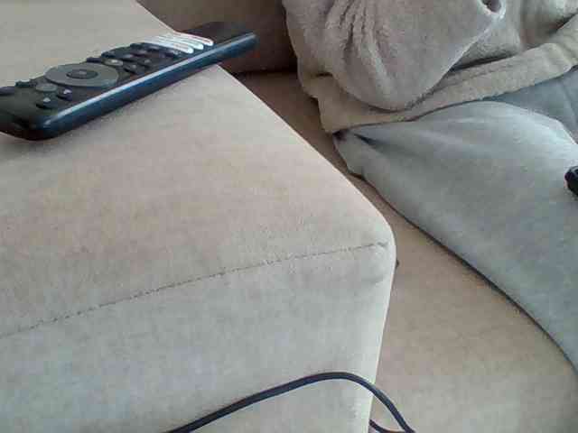 Dollie webcam