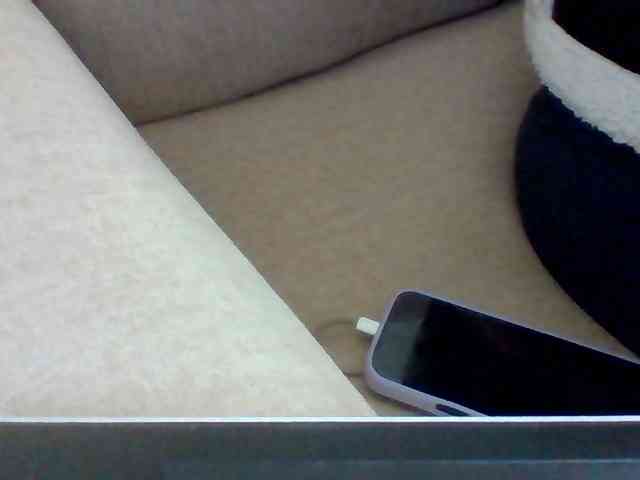 Dollie webcam