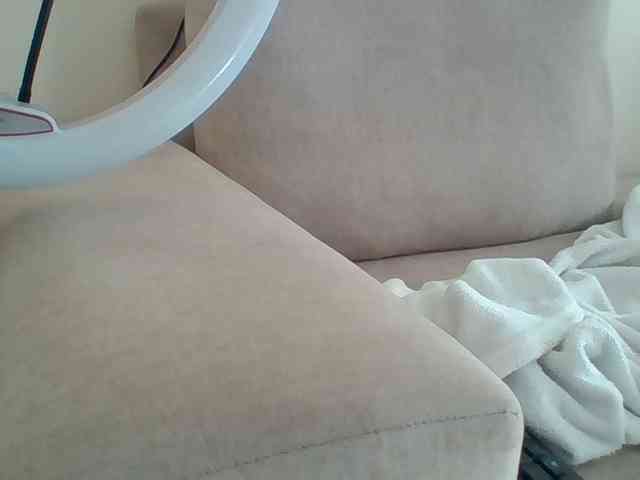 Dollie webcam