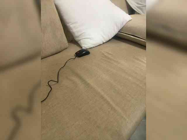 Dollie webcam