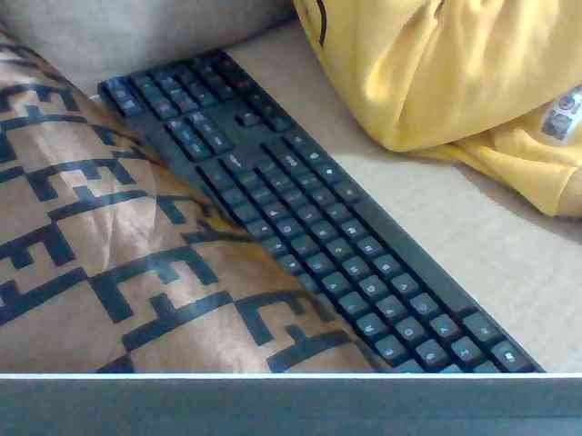 Dollie webcam