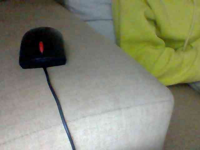 Dollie webcam