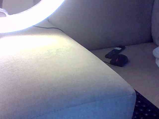 Dollie webcam