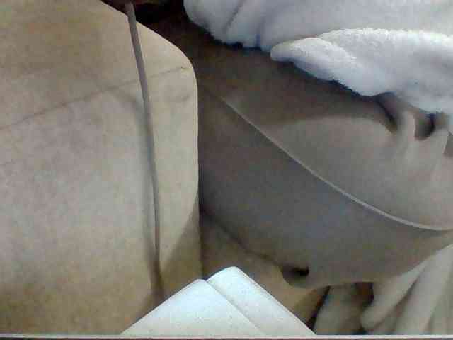 Dollie webcam