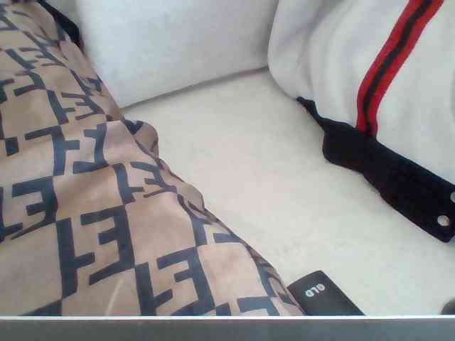Dollie webcam